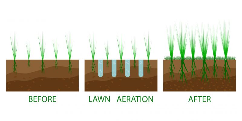 Lawn Fertilization