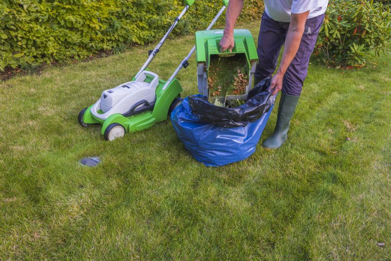 Professional Lawn Service Image 3