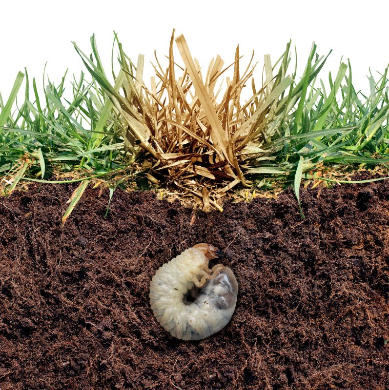 Grub Control