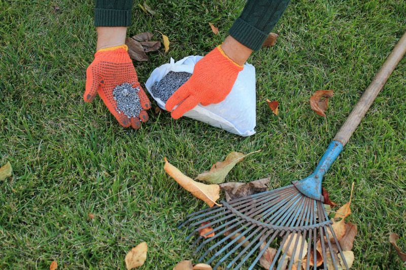 Lawn Fertilizing Service