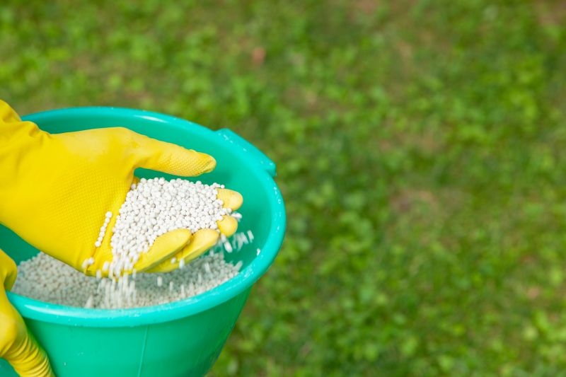 Lawn Fertilizing Service