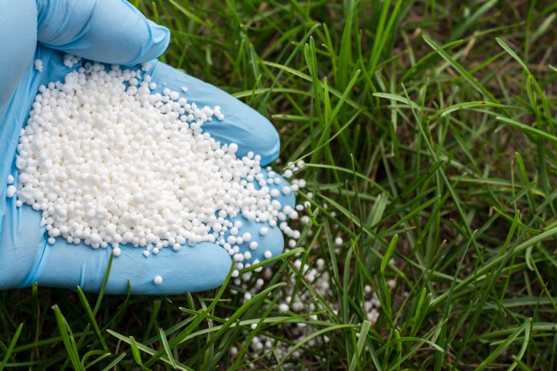 Lawn Fertilizing Service
