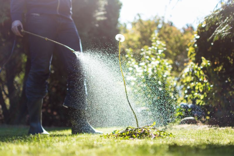 Lawn Spraying