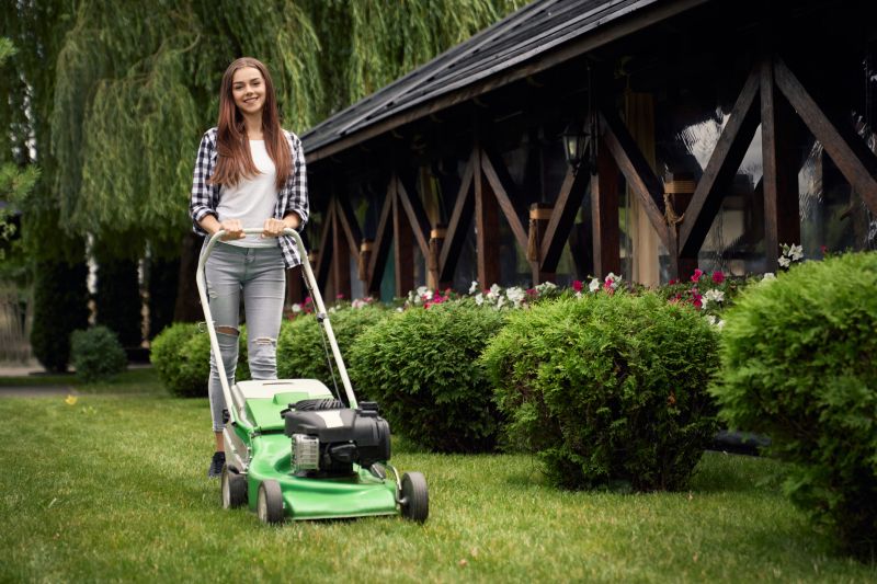 Lawn Treatment Service