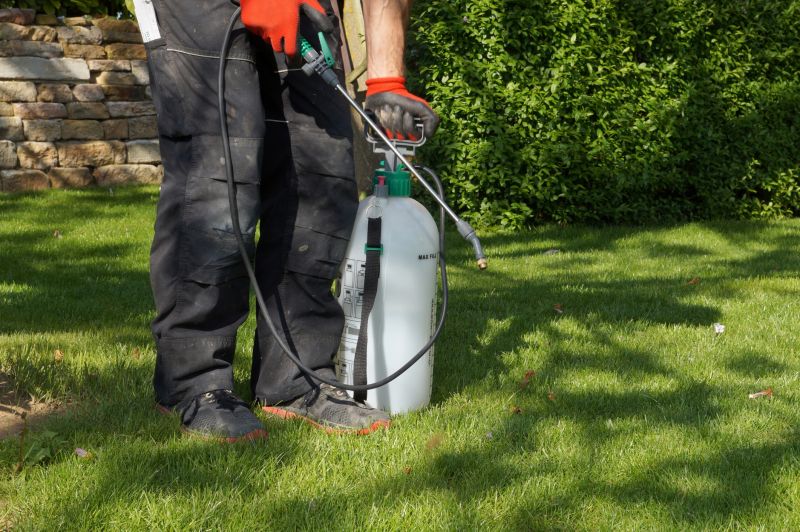 Lawn Weed Treatment Service